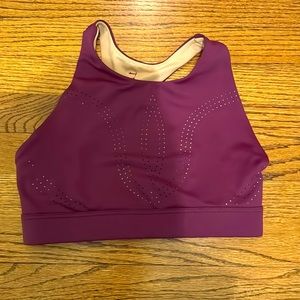 Buffbunny dark purple bra